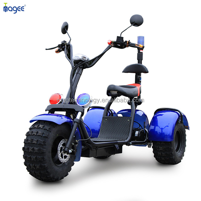 2024 High Quality Multi Functional Three Wheel Mobility Scooter Motorcycle Electric Tricycle Citycoco