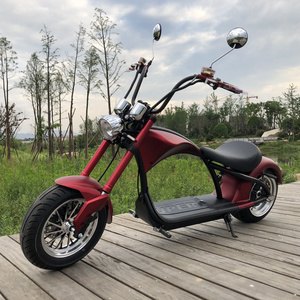 EEC COC three wheel moped Electric Scooter with sidecar