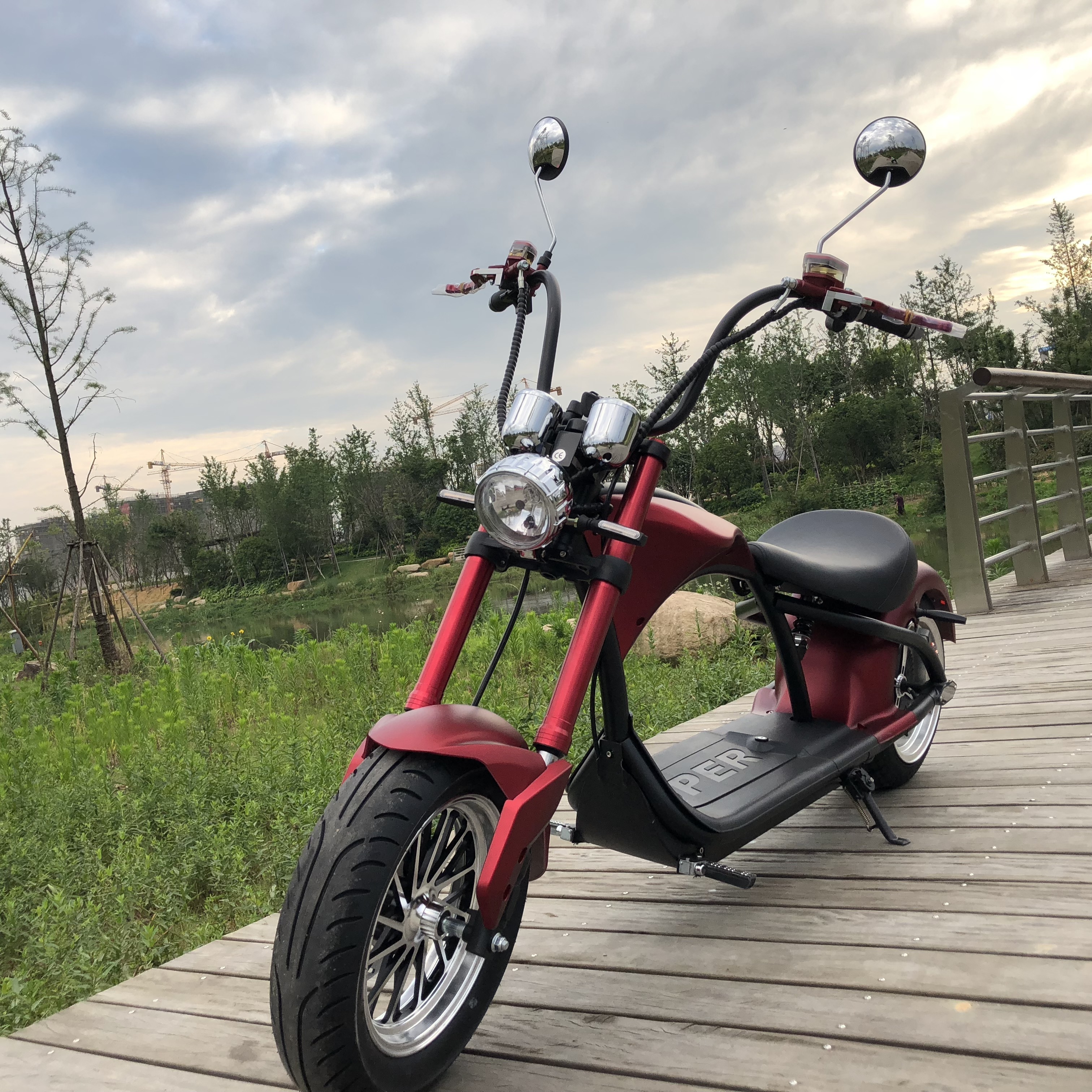 EEC COC three wheel moped Electric Scooter with sidecar