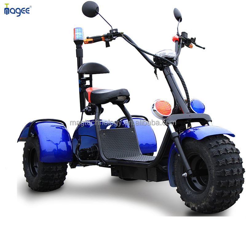 2024 High Quality Multi Functional Three Wheel Mobility Scooter Motorcycle Electric Tricycle Citycoco