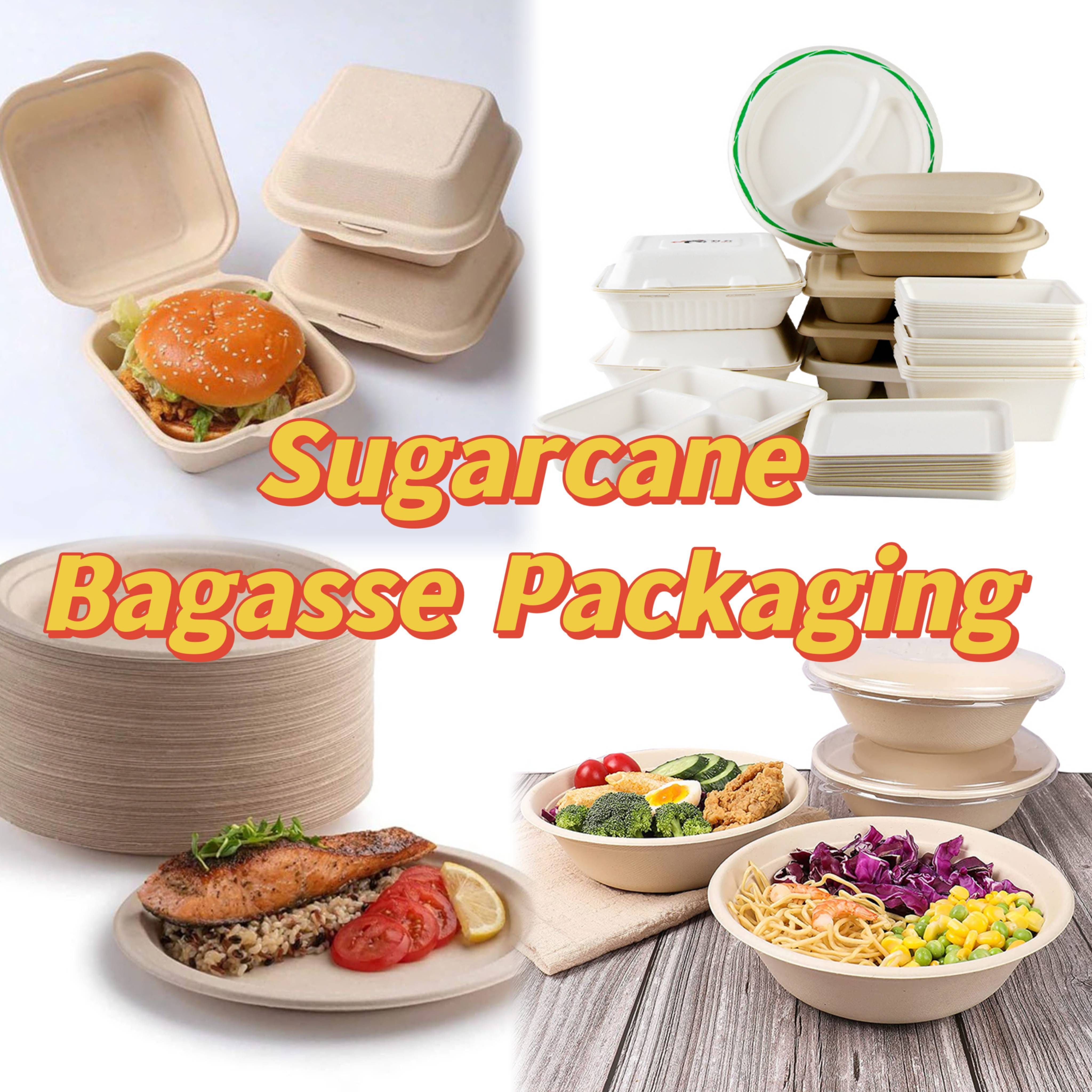 Custom 500ml 750ml 32oz Eco Biodegradable Compostable Disposable Soak Proof Noodle Meal Sugarcane Bagasse Salad Bowls With Lid