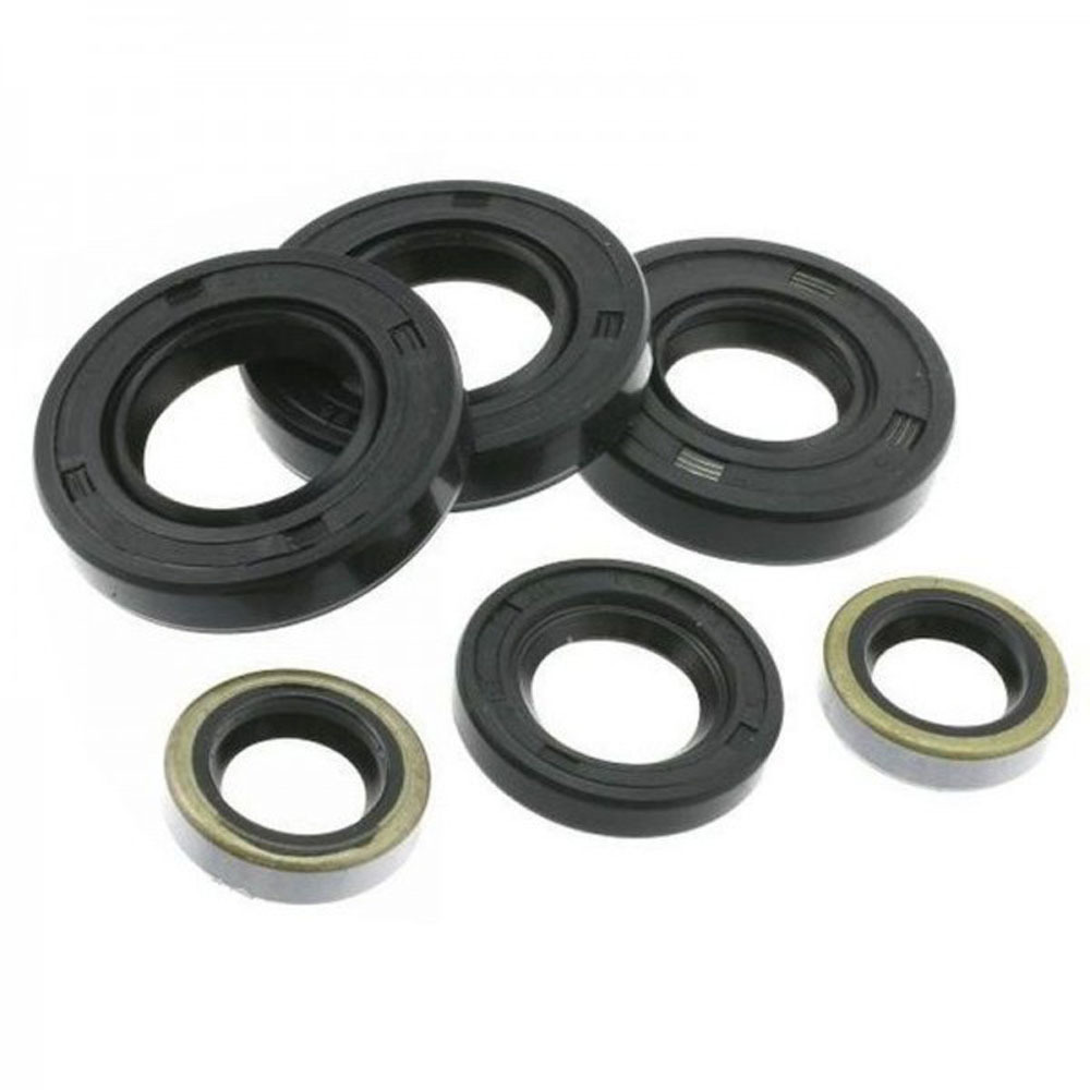 High Quality Wholesale National NBR Oil Seal Types Double Lips TC TCV TCM TCS Oil Seal for Cars