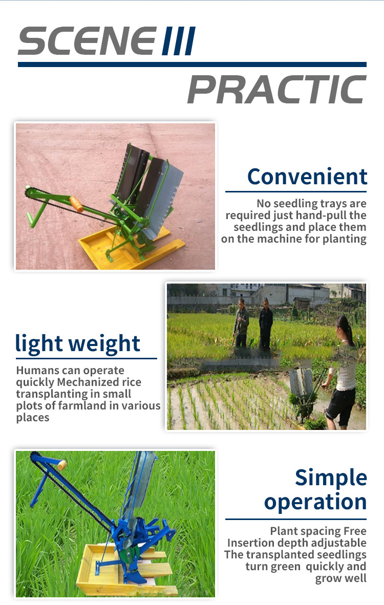 Transplanter Rice Agricultural Farm Use Rice Transplanter Rice Paddy Planter Planting Machine For Sale