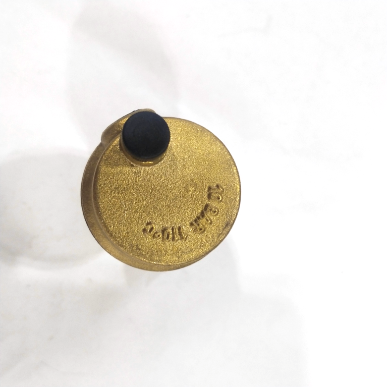 Customized Good Quality Automatic Check Pressure Release Brass Air Vent Valve