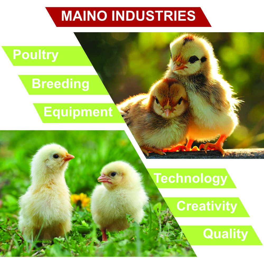 Brooder Cage Poultry Farm Chicken with Electric Infrared Heater Lamp Heating Equipment HAPPY CHICKS I