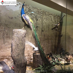 Life size Decoration Animal Statue Of Bird Peacock