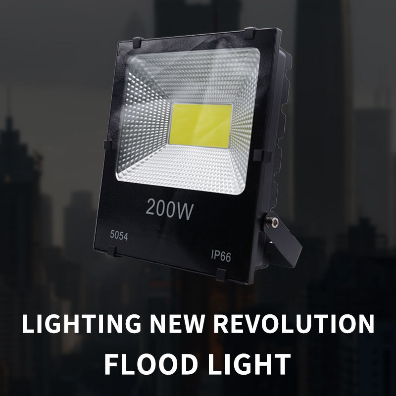 50 100 200 Watts 50w 100w Floodlight LED Flood Light