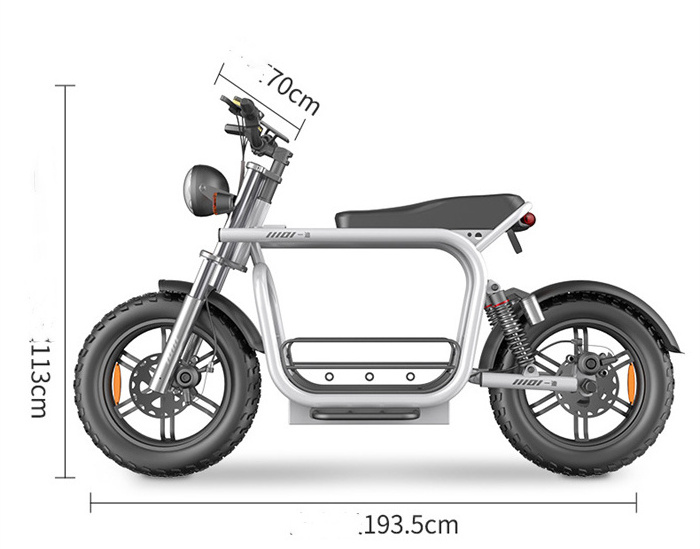 Wholesale 13A 15A 20A 30A 750W dual motor Electric Motorcycle 20*4.0 inch tire 60Km/H electric scooter