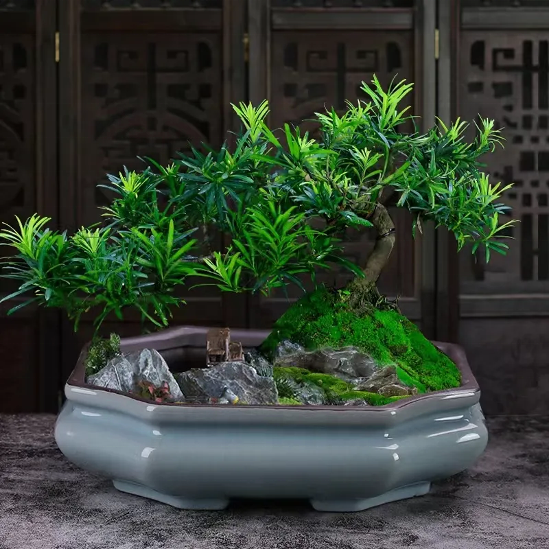 Professional Purple Granulated Glaze Bonsai Pot Ceramic Garden Pots Green Flower Pots For Home Decor