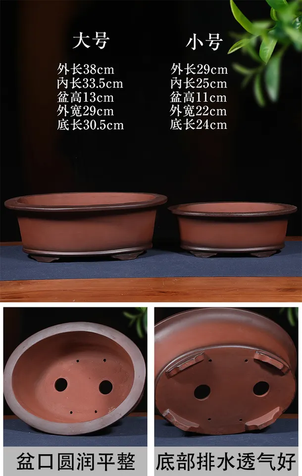 China high grade purple granulated glaze Bonsai pots purple sand unglazed bonsai pots ceramic