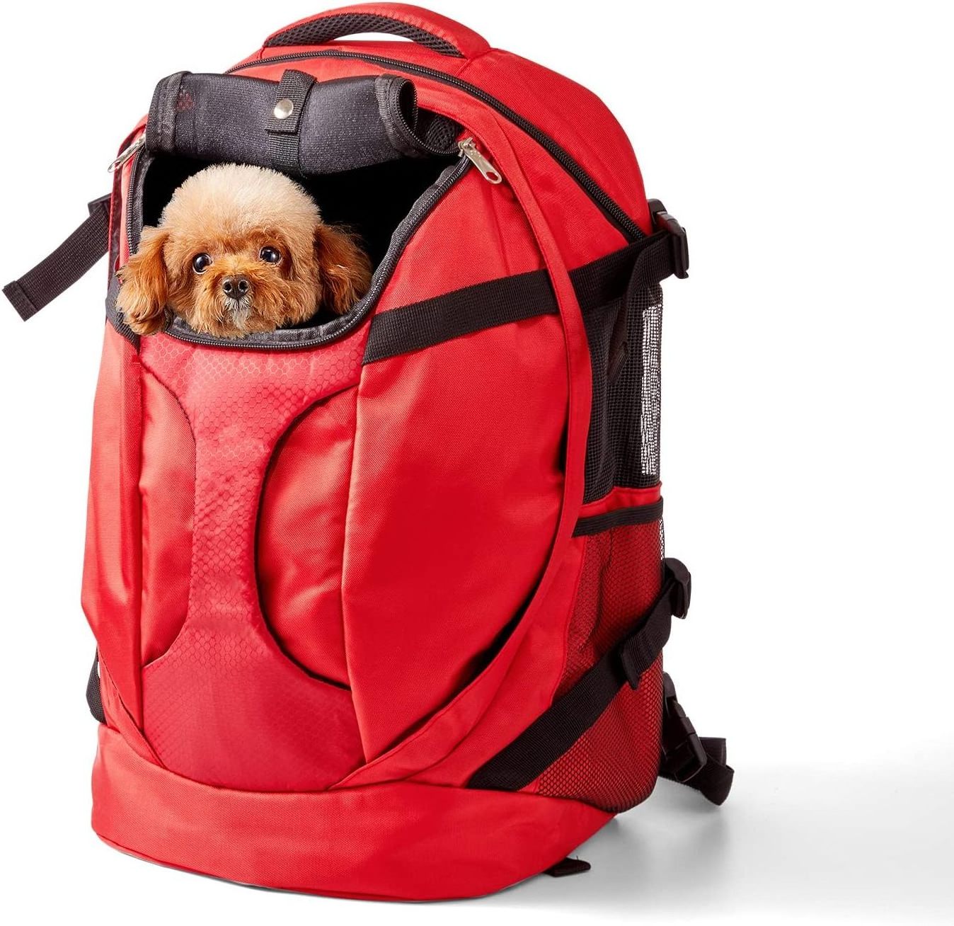 Dog Carrier Backpack Pet Puppy Cat Travel Bag Sport Sack with Ventilated Breathable Mesh Head-Out Safety Straps Buckle Support