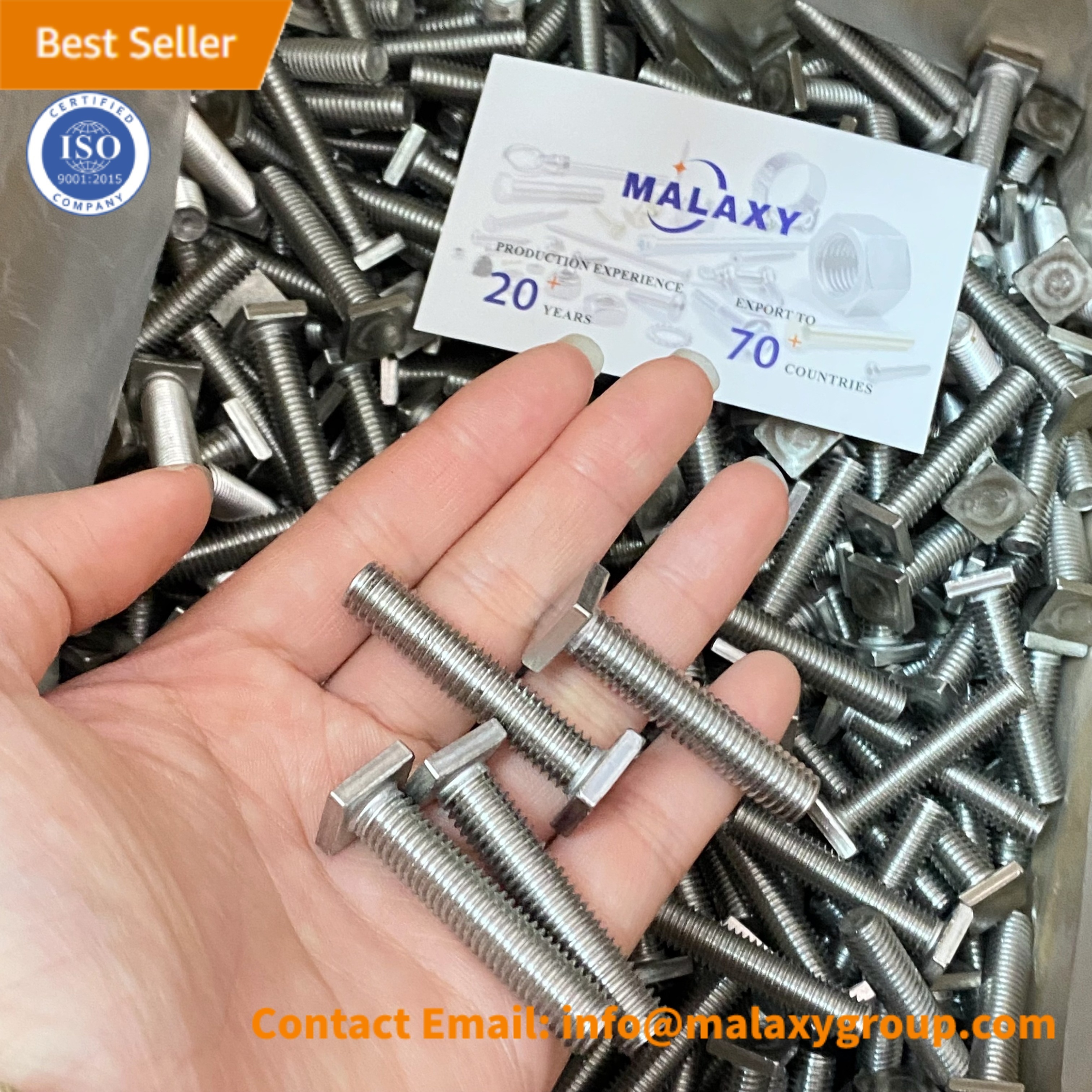 MALAXY Flat Hole Carriage Round With Neck / Square Head Bolts