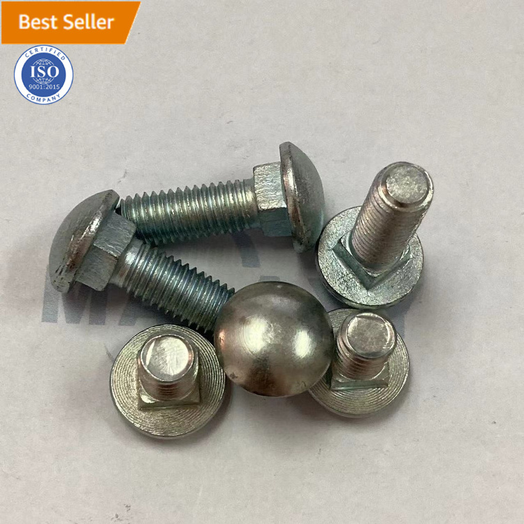 M10 M12 M14 M16 M20 fastener Stainless Steel Carriage Bolt