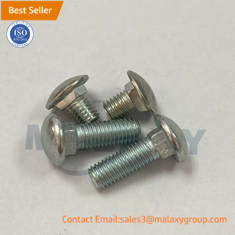 M10 M12 M14 M16 M20 fastener Stainless Steel Carriage Bolt