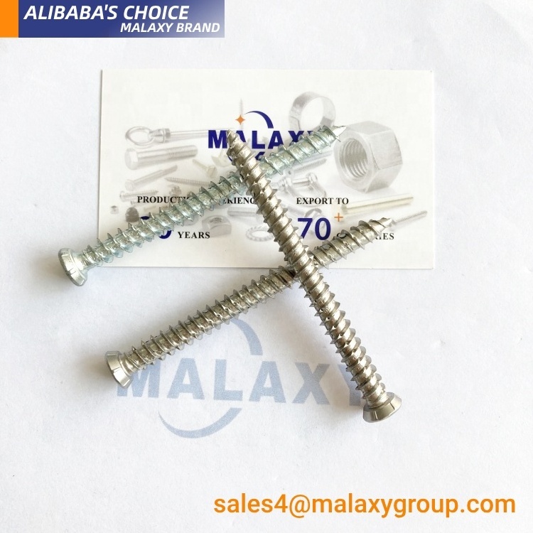 MALAXY Zuogang Odm Oem Pan Head Collated Handle Expansion Patta Screw Spy Camera Chicago Screws