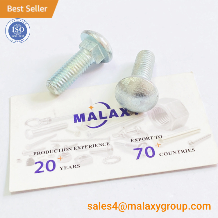 MALAXY M10 M12 M14 M16 M20 Fastener Stainless Steel Carriage Bolt