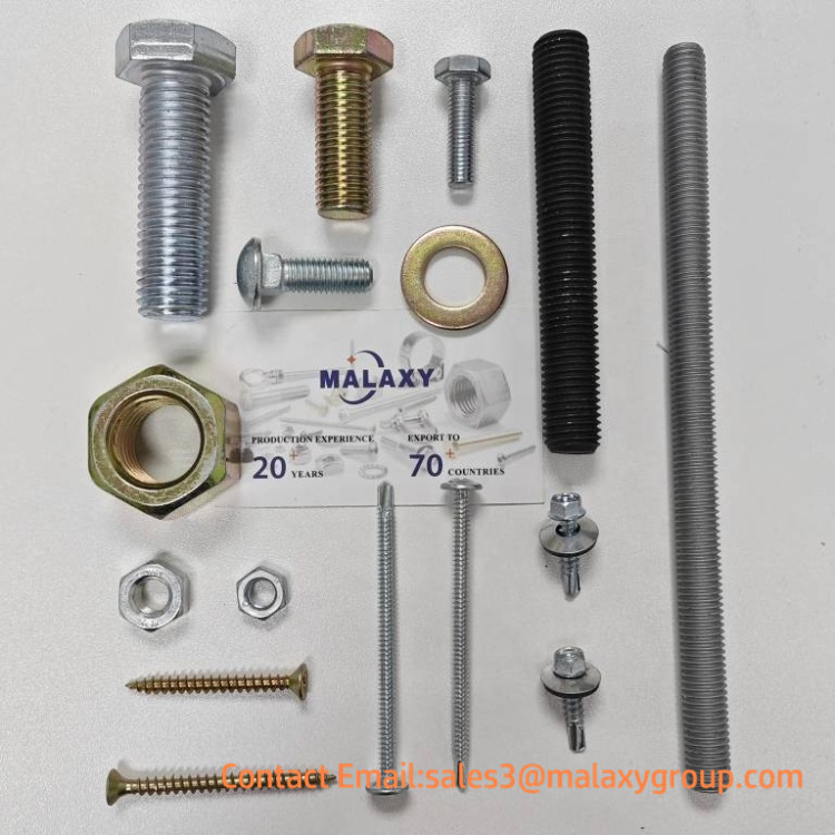 M10 M12 M14 M16 M20 fastener Stainless Steel Carriage Bolt