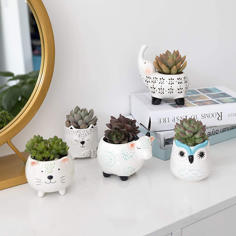 Succulent Planter Pots Cute Ceramic Animal Set Home Decor Gifts