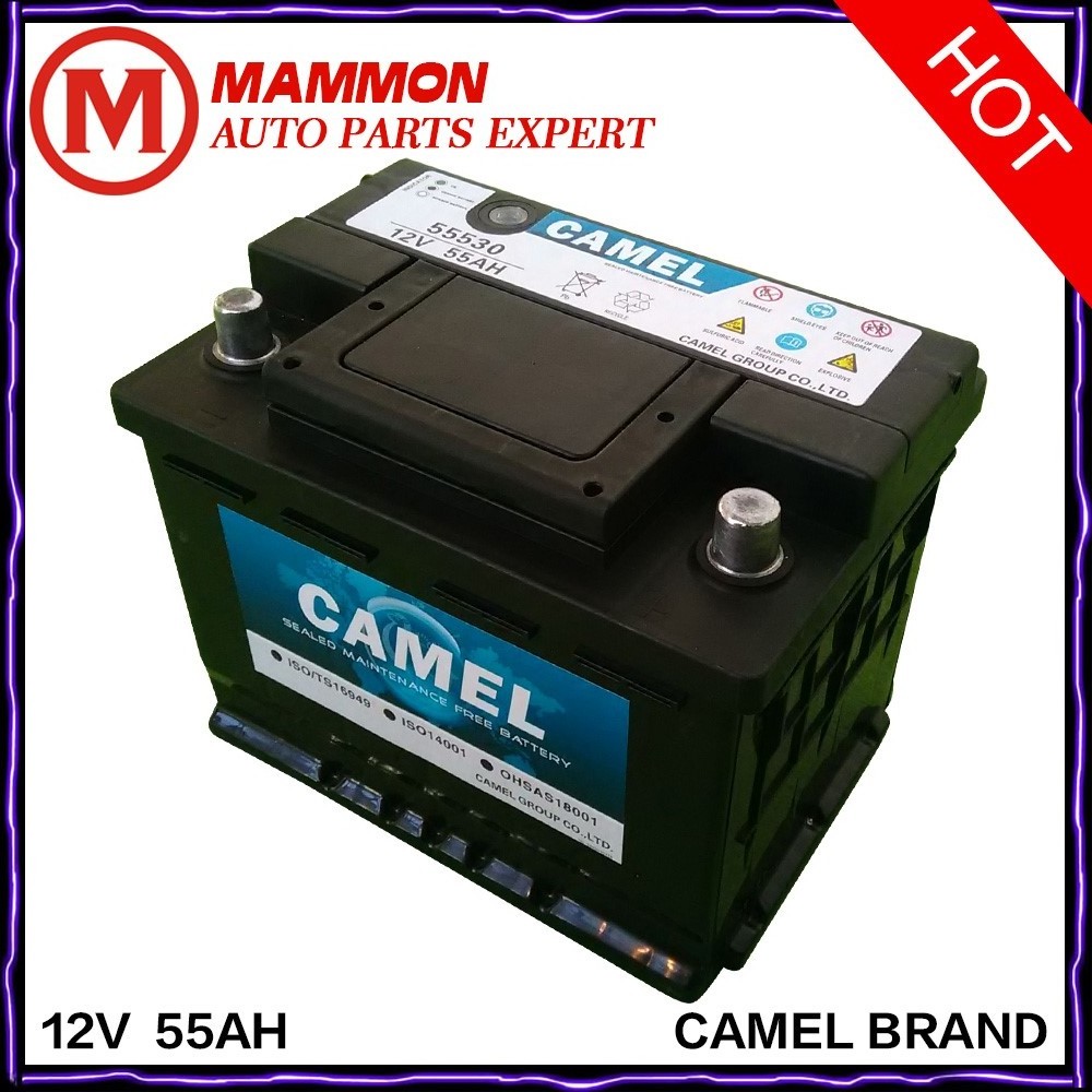 Camel brand lead acid batteries  High quality DIN MF 12V 55AH/60AH/75AH/80AH  Maintenance Free car battery wholesale