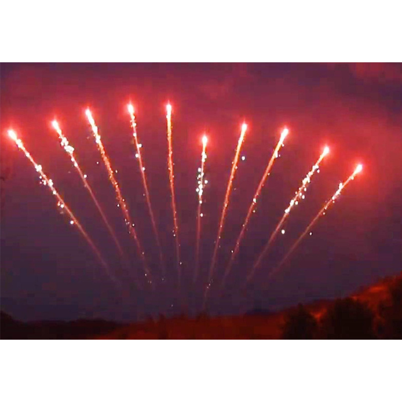 1.3g professional fireworks wholesale festival single row fireworks salute pyrotechnics 10 shots Chinese fireworks