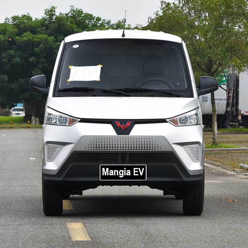 High quality pure electric closed truck/van made in China Large capacity 0.5 hour fast charger Medium electric vehicle