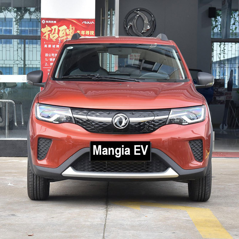 Dongfeng EX1 Pro electric vehicle with roof rack for domestic 5-seat small electric vehicle to be sold in 2023