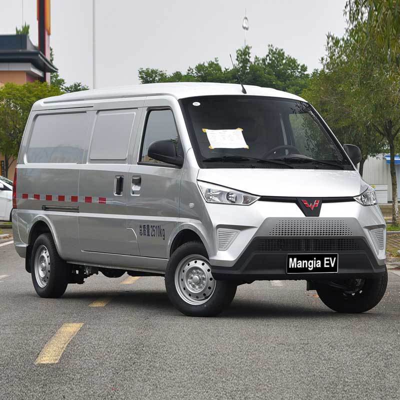 High quality pure electric closed truck/van made in China Large capacity 0.5 hour fast charger Medium electric vehicle