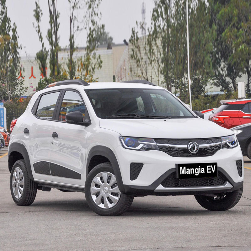 Dongfeng EX1 Pro electric vehicle with roof rack for domestic 5-seat small electric vehicle to be sold in 2023