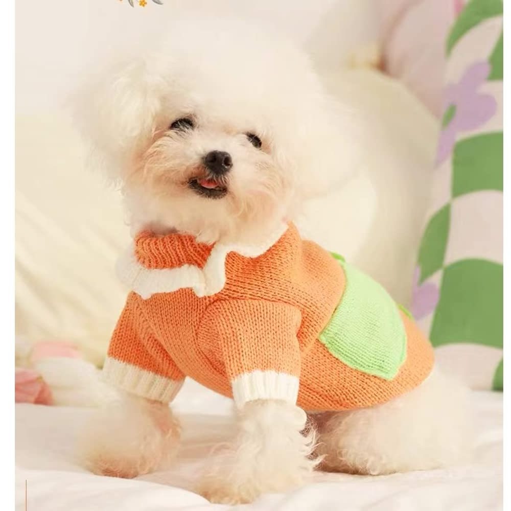 High-end Luxury Fashionable Large Small Pet Coat Dogs Clothes Brands Designer Clothes For Dogs Hoodie