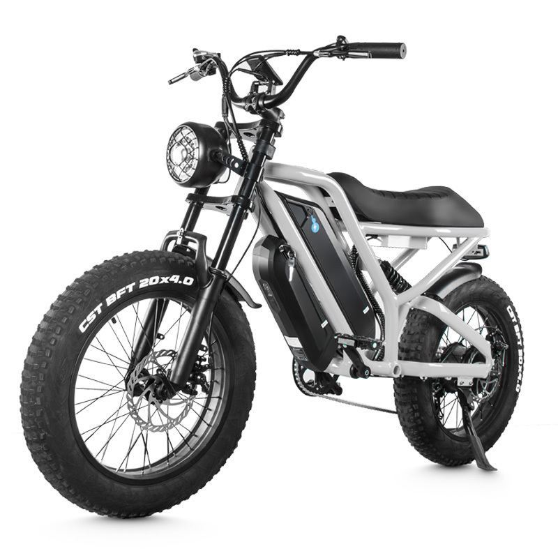 MZ-12 48V 500W 750W 1000W 20 Inch Fat Tire Full Suspension E-Bike Motorcycle Electric Dirt Bike For Adults