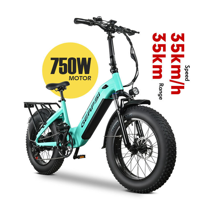 MZ-9 EU US Warehouse 48V 500W 750W Adult 20 Inch E-Bike Fatbike Fat Tyre Folding Electric City Mountain Road Bike