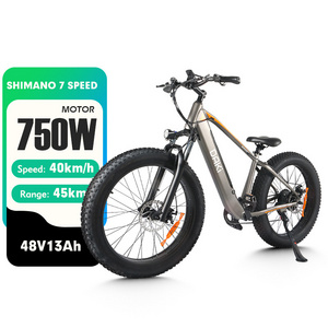 MZ-15 US Warehouse 500W 13Ah E Bike Hybrid Mountain E-Bike 26 Inch Ebike Electric Fat Tire Bike With Wemoveable Battery