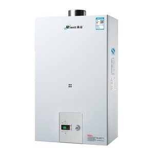 24kw Gas Boiler For Home Heating and showering