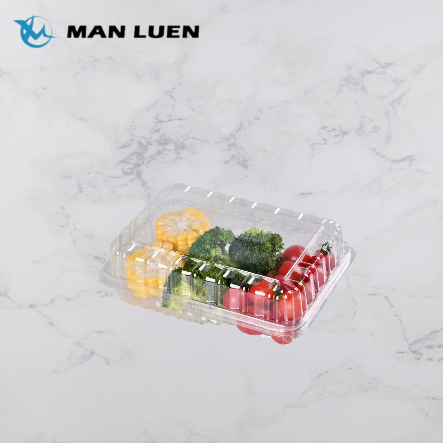 Wholesale Disposable Plastic Transparent Clamshell Food Container for Food Packaging