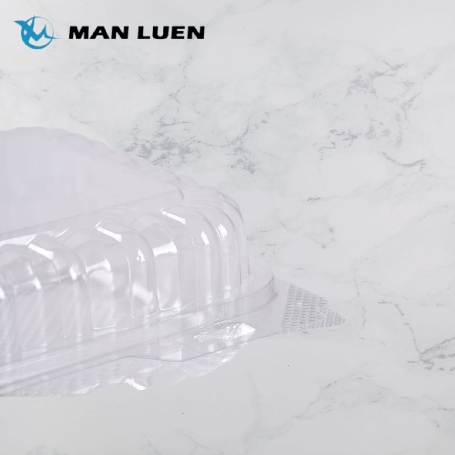 Wholesale Disposable Plastic Transparent Clamshell Food Container for Food Packaging