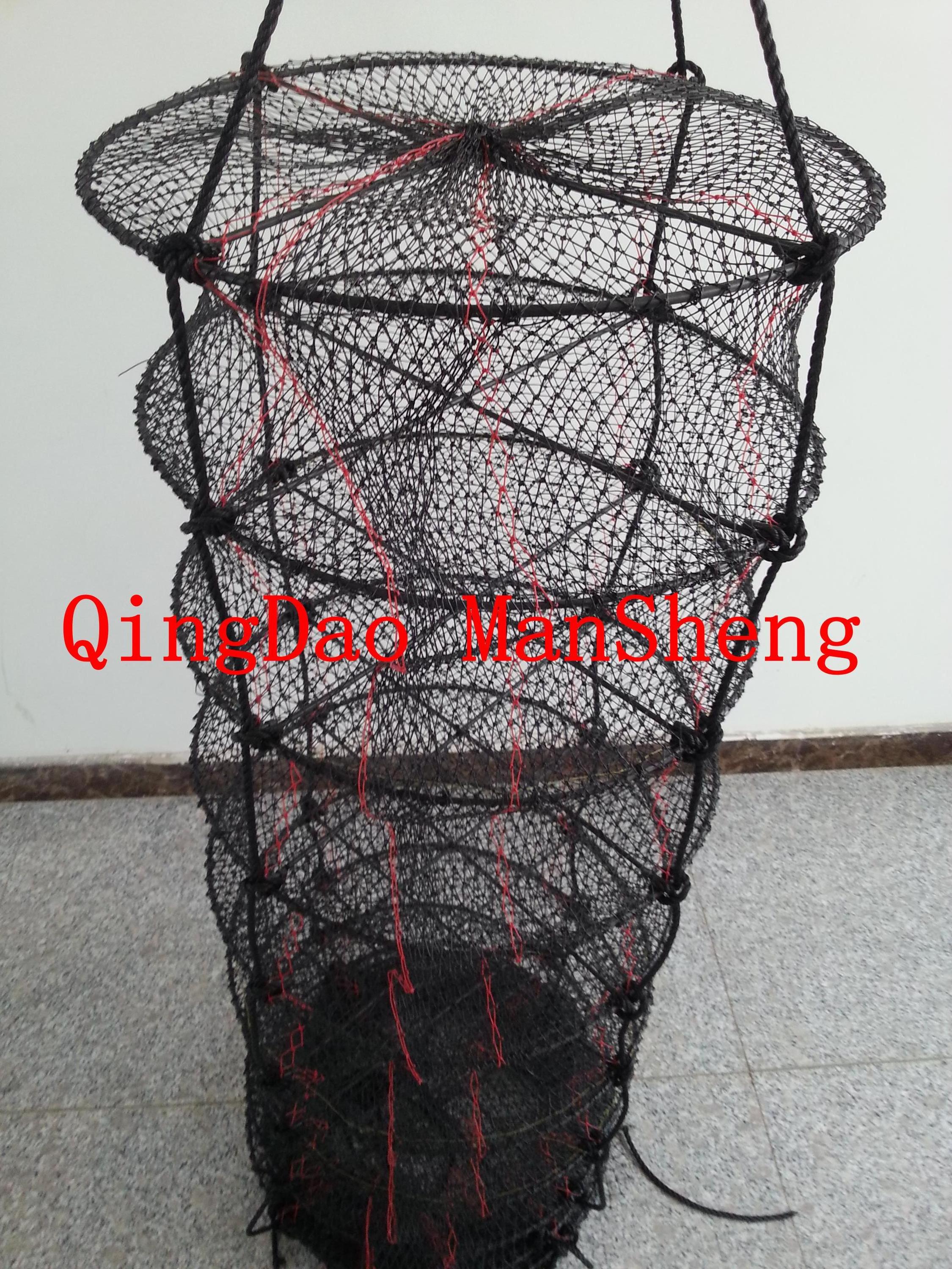 scallop culture lantern nets