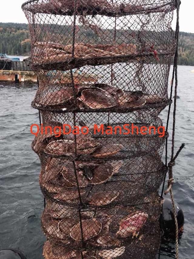 aquaculture equipment  scallop farming lantern nets  oyster farming lantern net