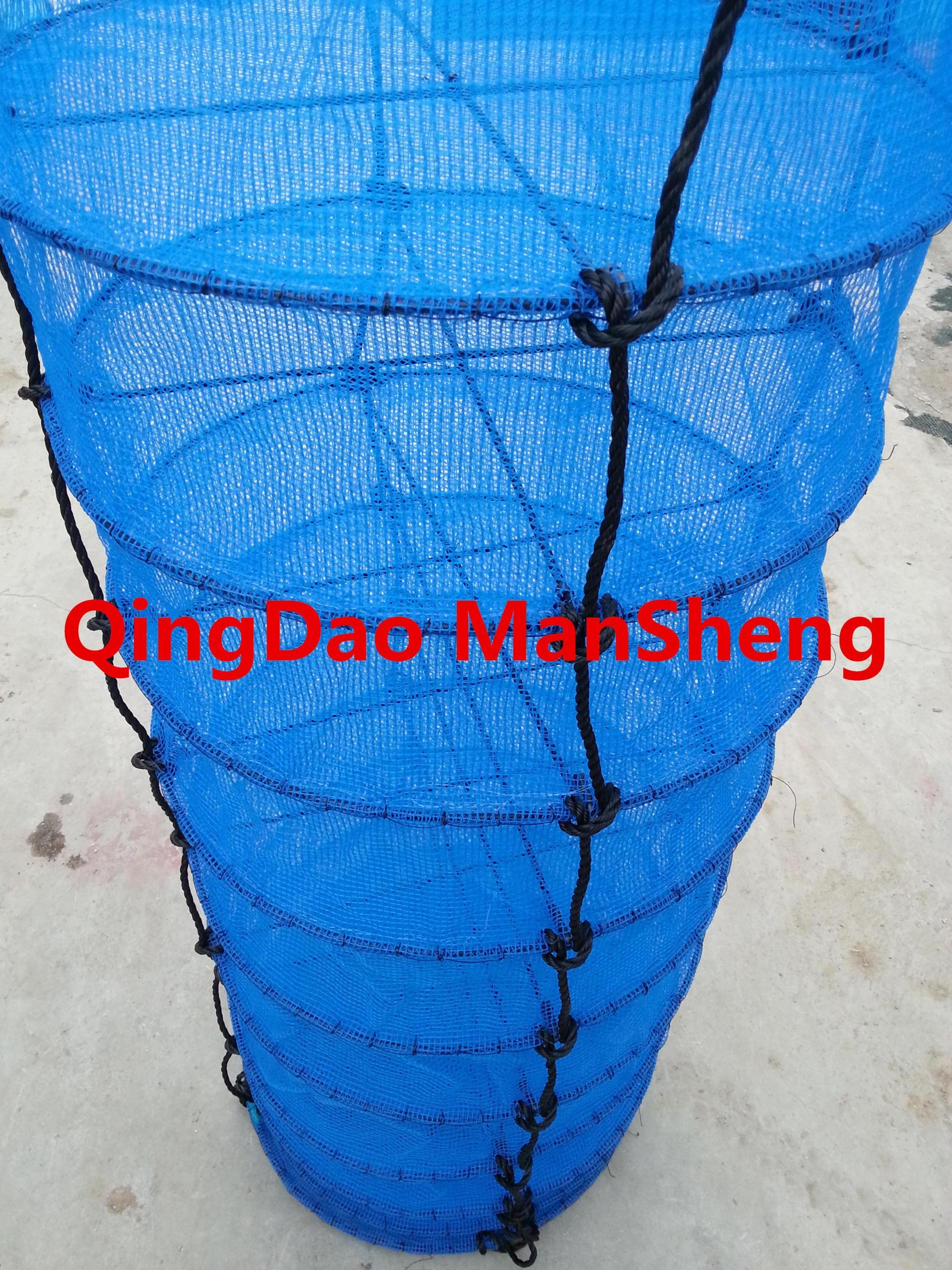 scallop culture lantern nets