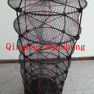 scallop aquaculture lantern net