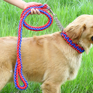 2021 Personalized Other Pet products Medium Large dog products Braided Nylon dog leash and dog collar with metal chain