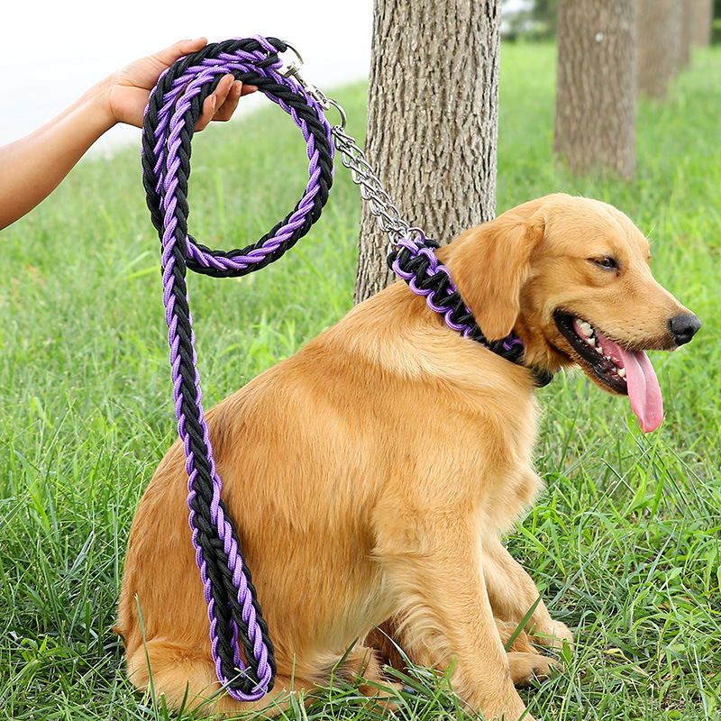 2021 Personalized Other Pet products Medium Large dog products Braided Nylon dog leash and dog collar with metal chain