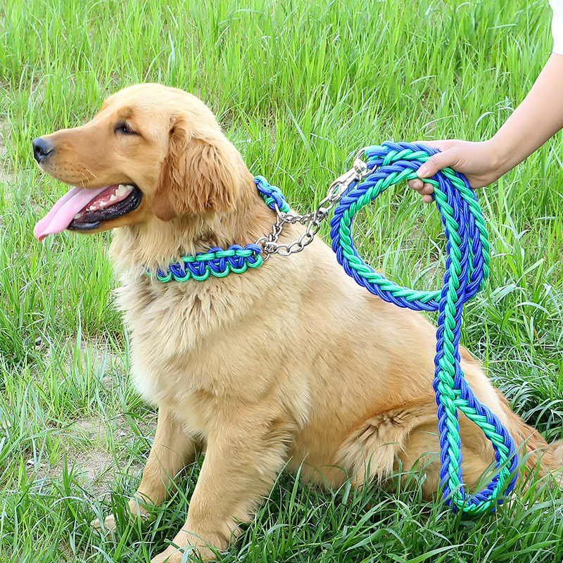 2021 Personalized Other Pet products Medium Large dog products Braided Nylon dog leash and dog collar with metal chain