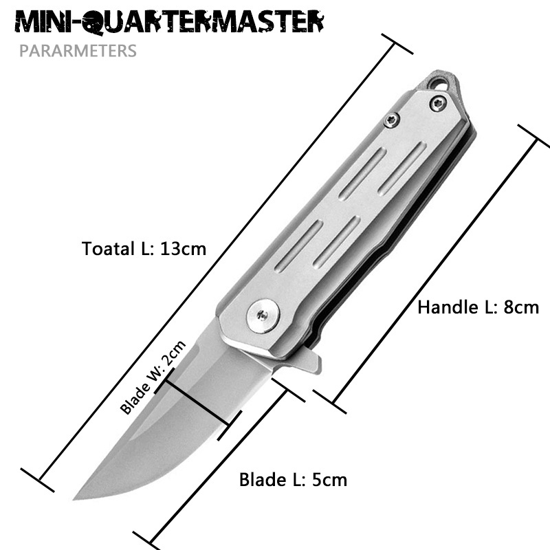 Wholesale EDC enthusiasts Mini D2 Steel Folding Knife EDC Outdoor Hiking Pocket Knife Hunting portable ultra-sharp fruit knives