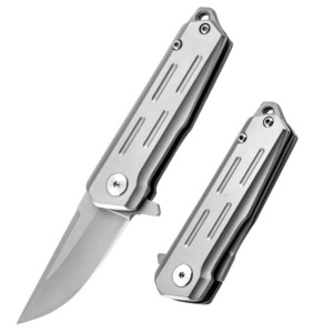 Wholesale EDC enthusiasts Mini D2 Steel Folding Knife EDC Outdoor Hiking Pocket Knife Hunting portable ultra-sharp fruit knives