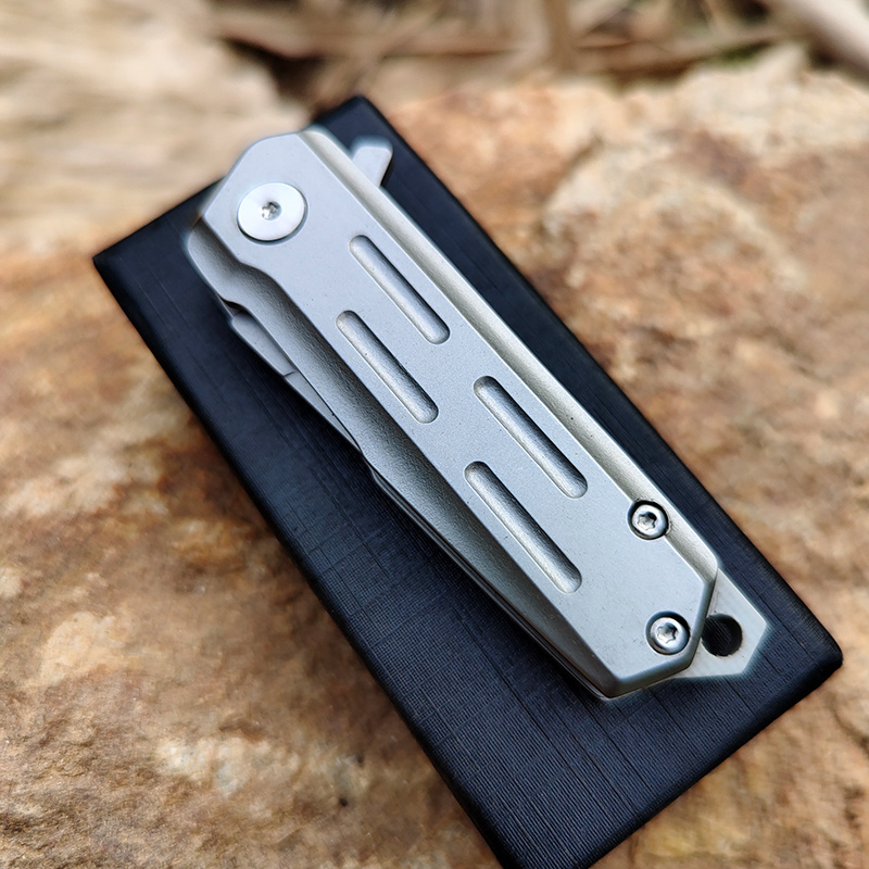 Wholesale EDC enthusiasts Mini D2 Steel Folding Knife EDC Outdoor Hiking Pocket Knife Hunting portable ultra-sharp fruit knives