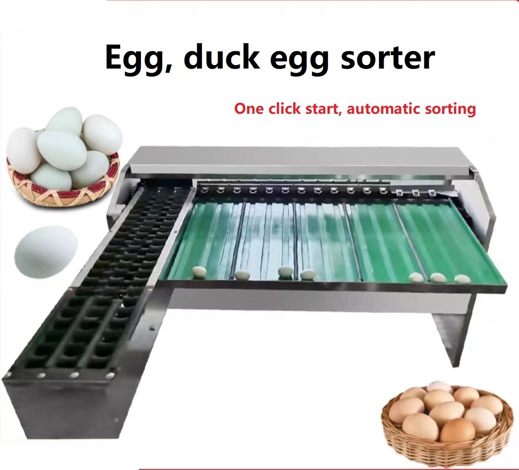 Automatic egg sorting machine egg grader and packing machine for sale