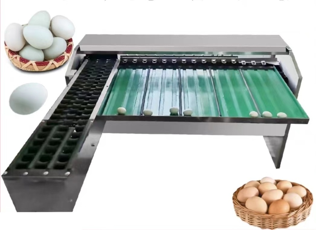 Automatic egg sorting machine egg grader and packing machine for sale