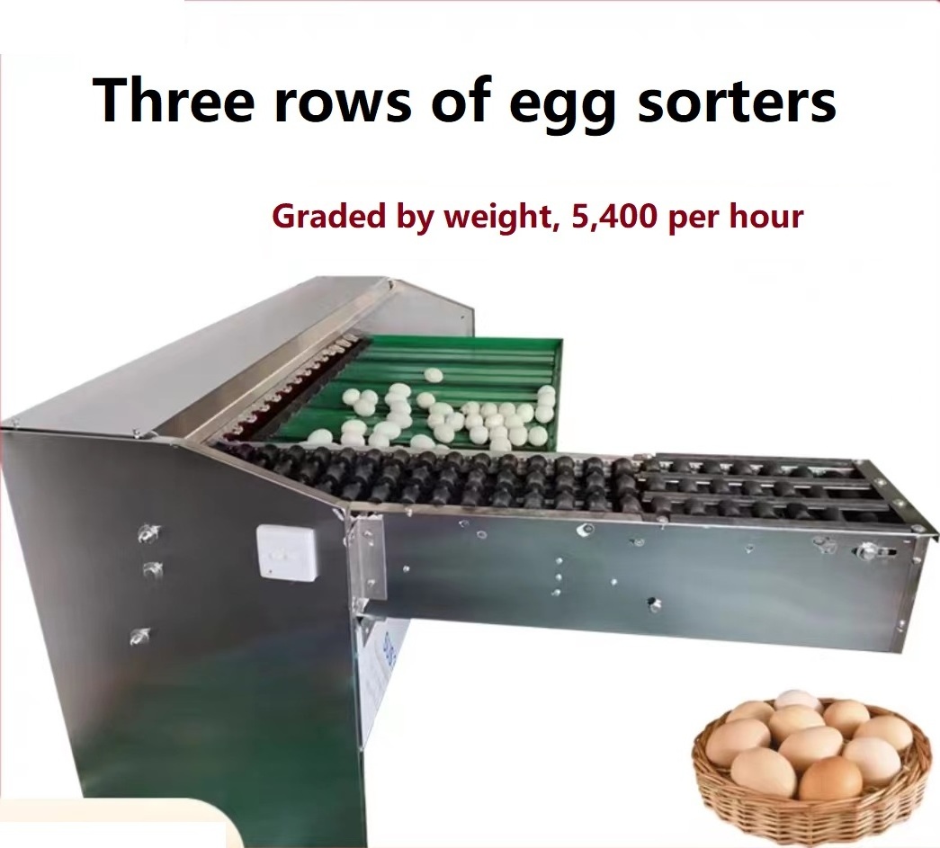 Automatic egg sorting machine egg grader and packing machine for sale