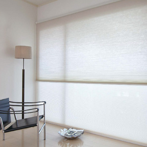 High-End Cellular Shade Fabric Day Night Honeycomb  Blinds Honeycomb Dual Blind with Ultra Quiet Single Chain