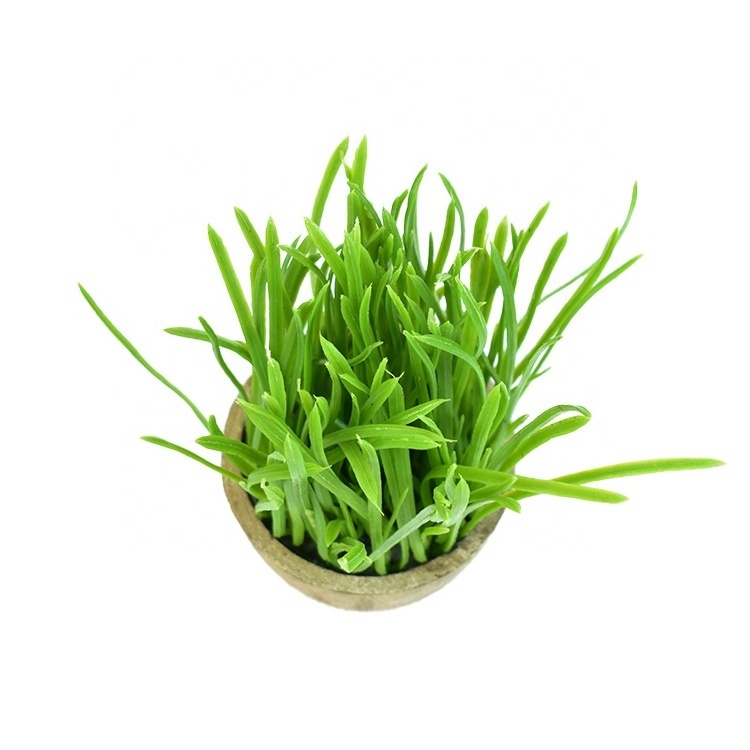 Artificial Plastic Shrubs Wheat Grass potted plastic green Grass For desk Decor MY818